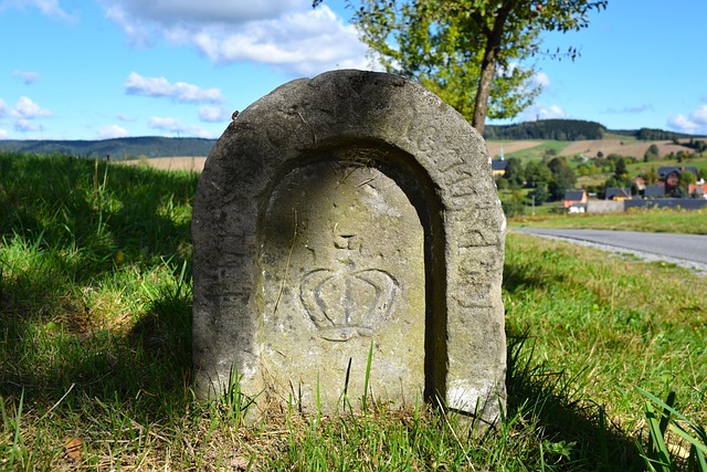 Project milestones planning and control