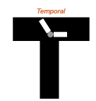 Illustration d'un objectif temporel en gestion de projet